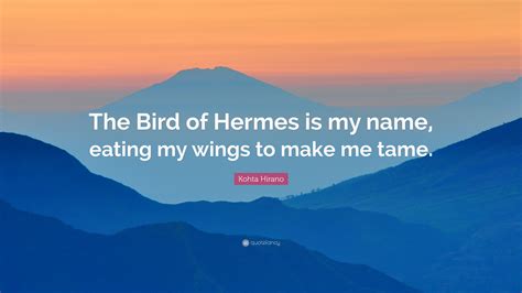 the bird of hermes is my name poem|the bird of hermes is my name.